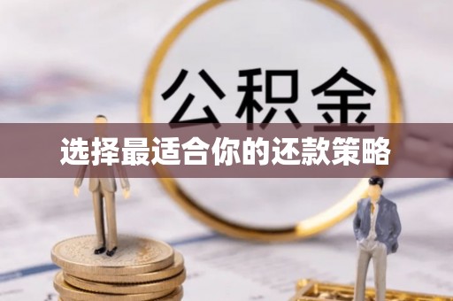 锡林浩特选择最适合你的还款策略